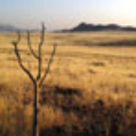 Ristorante La Dolce Vita