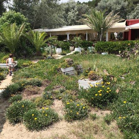 Ristorante del Balneario Malaika