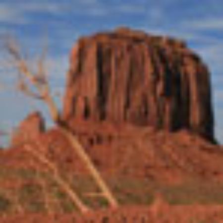 Bel & Bon di Angeli Emanuela